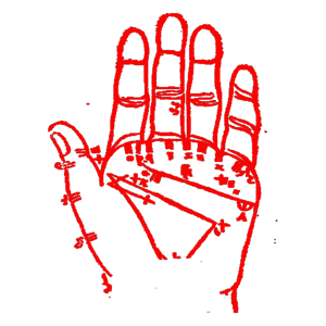 Maple Leaf Fingerboards Home