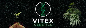 Vitex Genetics Home