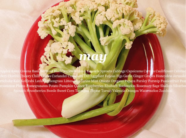 Slideshow image 2