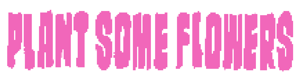 Plant Some Flowers Home