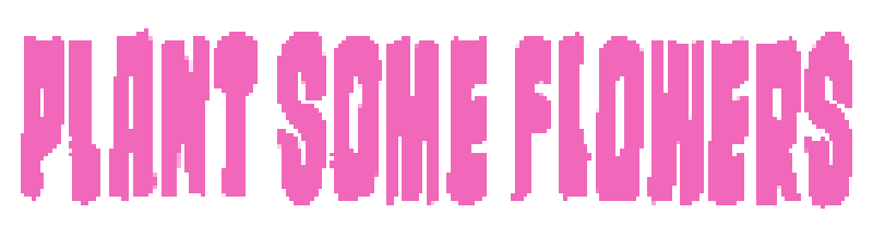 Plant Some Flowers Home