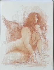 Saoirse Dobhran  Home