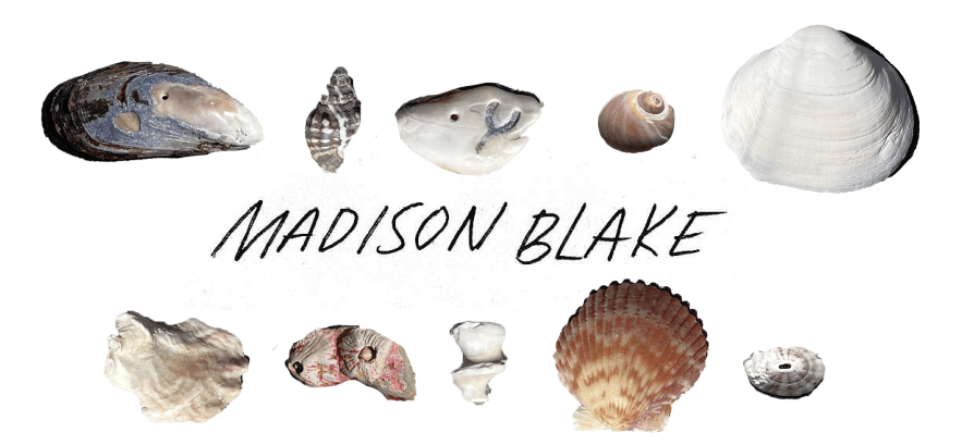 MadisonBlake Home
