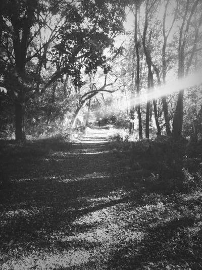 Slideshow image 3