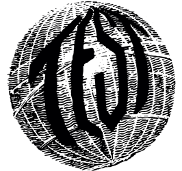 Test Skateboarding Home