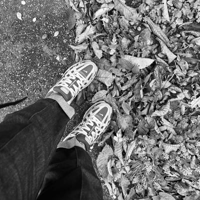 Slideshow image 12