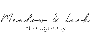 Meadow and Lark Home