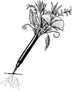 Courtney // the planted pen Home