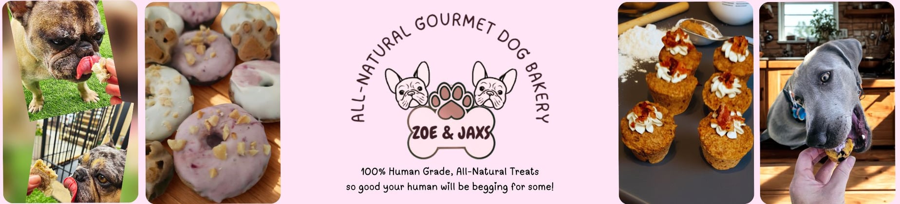 Zoe and Jaxs Dog Bakery  Home