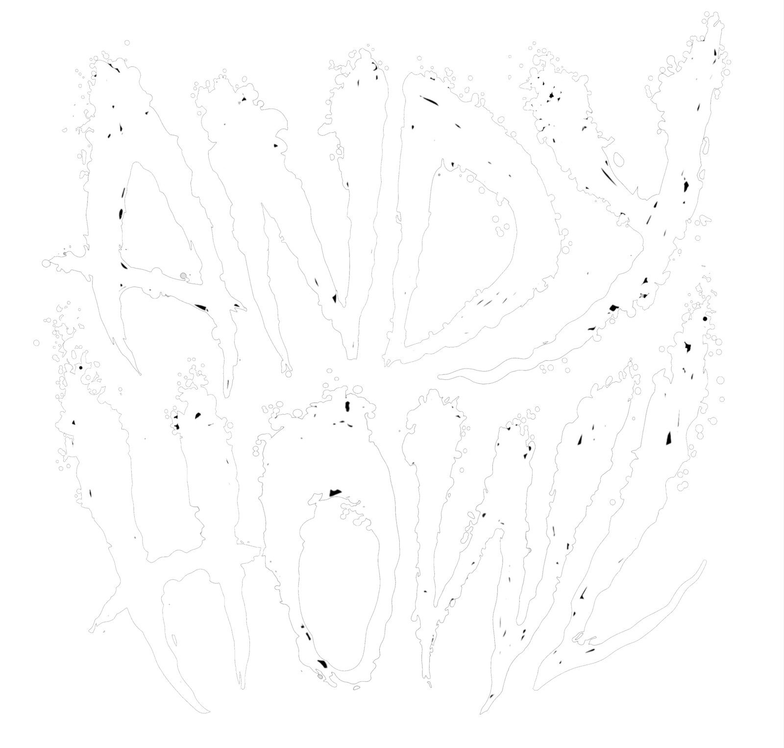 ANDY HOWL