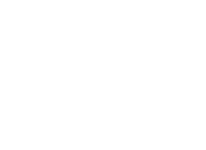 VILE GRAFFITI Home