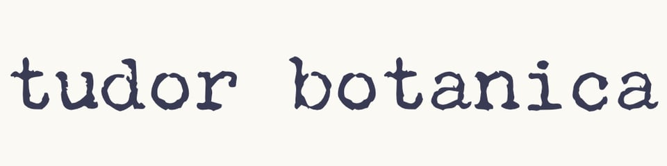 Tudor Botanica | Black & White Botanical Art Prints Home