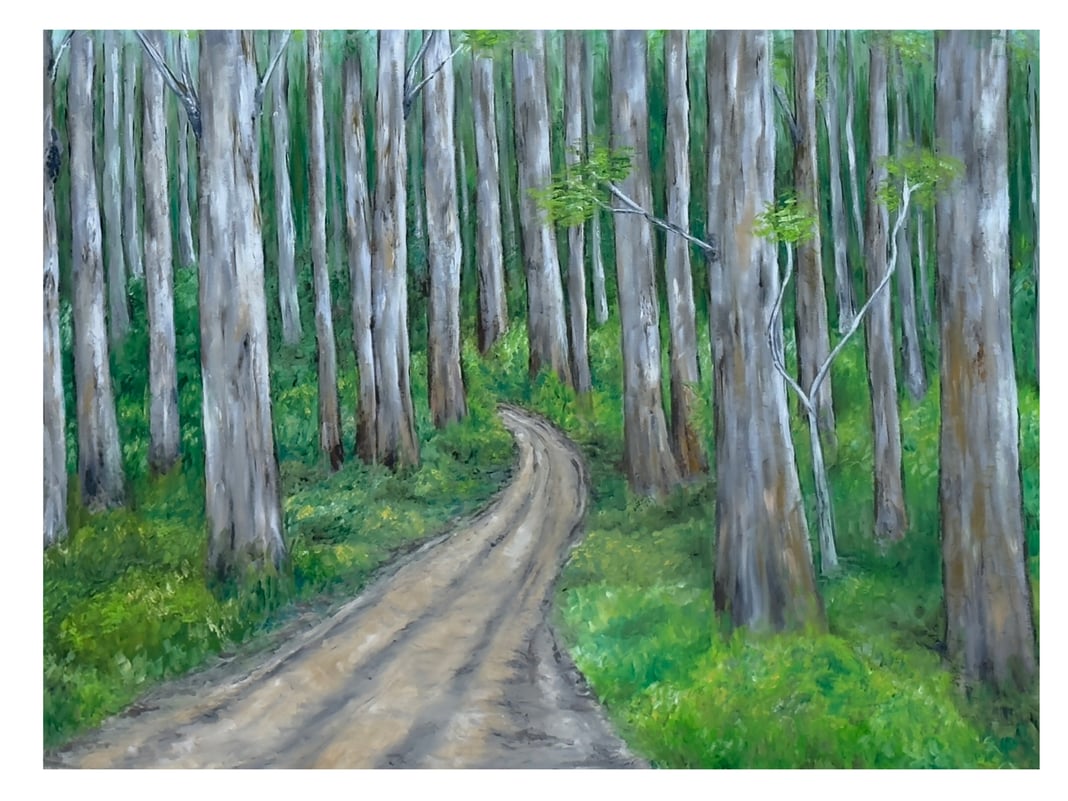 Slideshow image 6