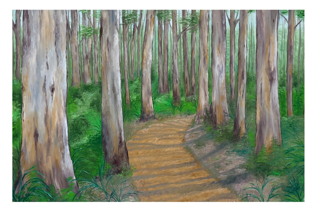Slideshow image 5
