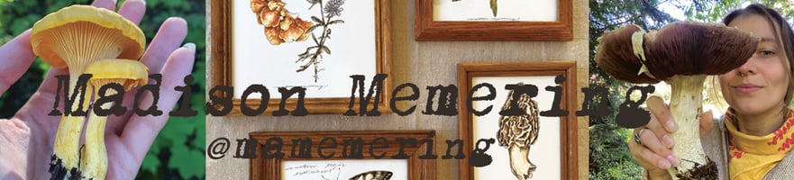 Madison Memering Home