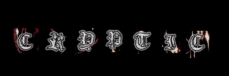 Cryptic Collective Home