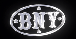 BAILLOUT NEW YORK Home