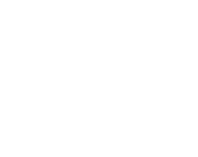 Homopunk Action Home