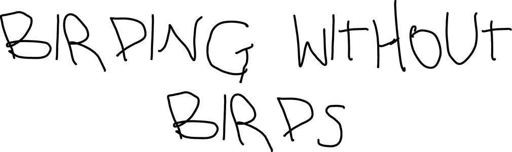 Birding without birds Home