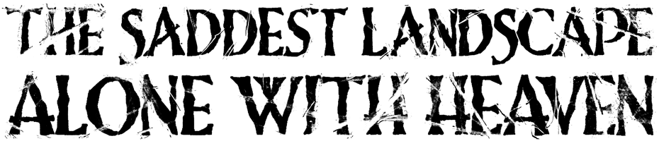 THE SADDEST LANDSCAPE OFFICAL MERCH STORE  Home