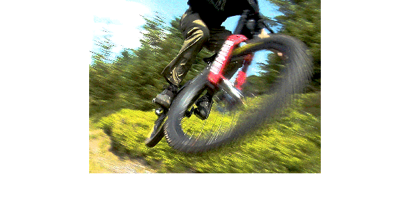 Shredder Web Store Home