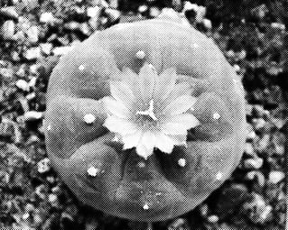 PRODUCTS OF MY ENVIRONMENT Home