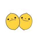 SadinYellow Home