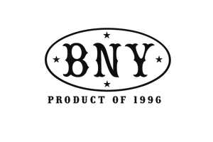 BAILLOUT NEW YORK Home