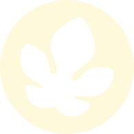 Fig Leaf Design Co. Home