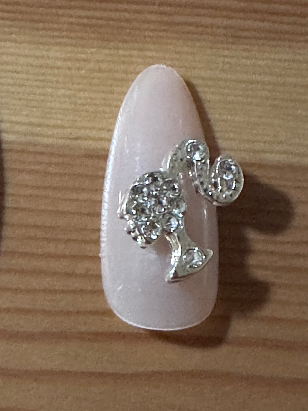Slideshow image 11