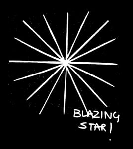 Blazing Star Press Home