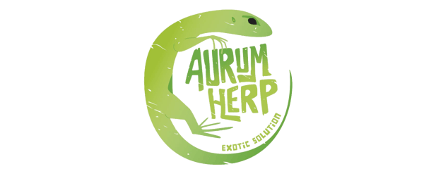 Aurum Herp | Terrarios de PVC | Terrarios para reptiles  Home