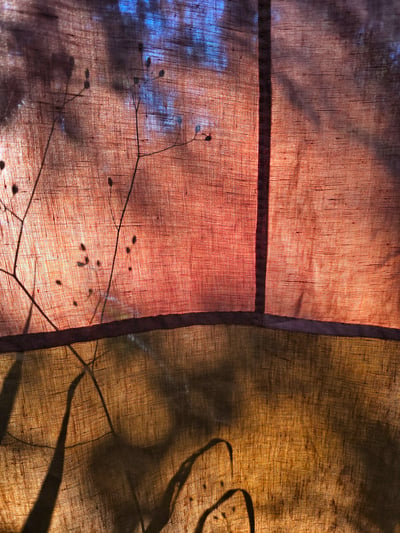 Slideshow image 9