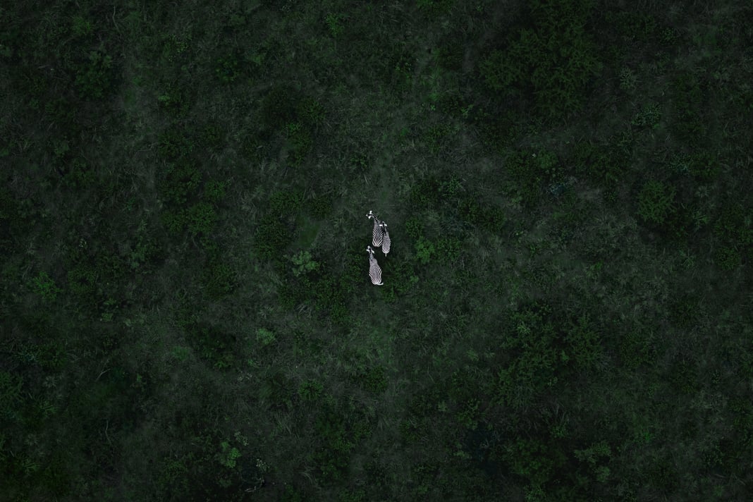 Slideshow image 3