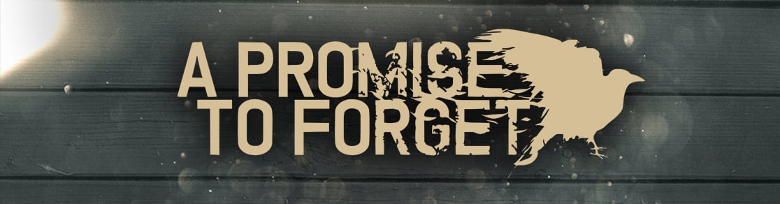 A PROMISE TO FORGET