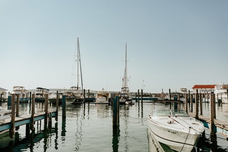 Danielle Schury  Home