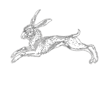 Hedgeriderpress Home