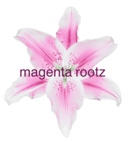 Magenta Rootz  Home