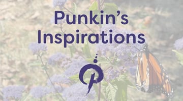 Punkin's Inspirations Home