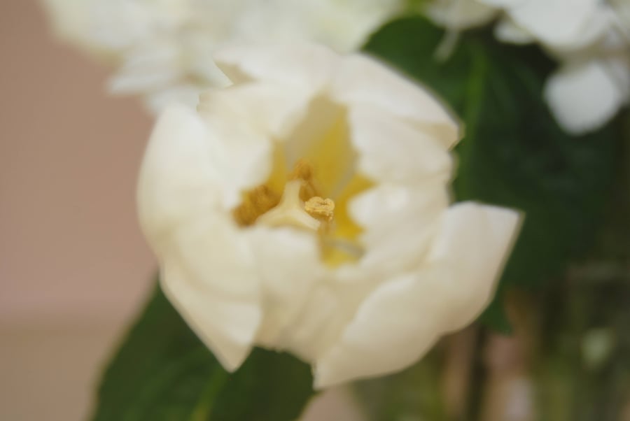 Welcome image