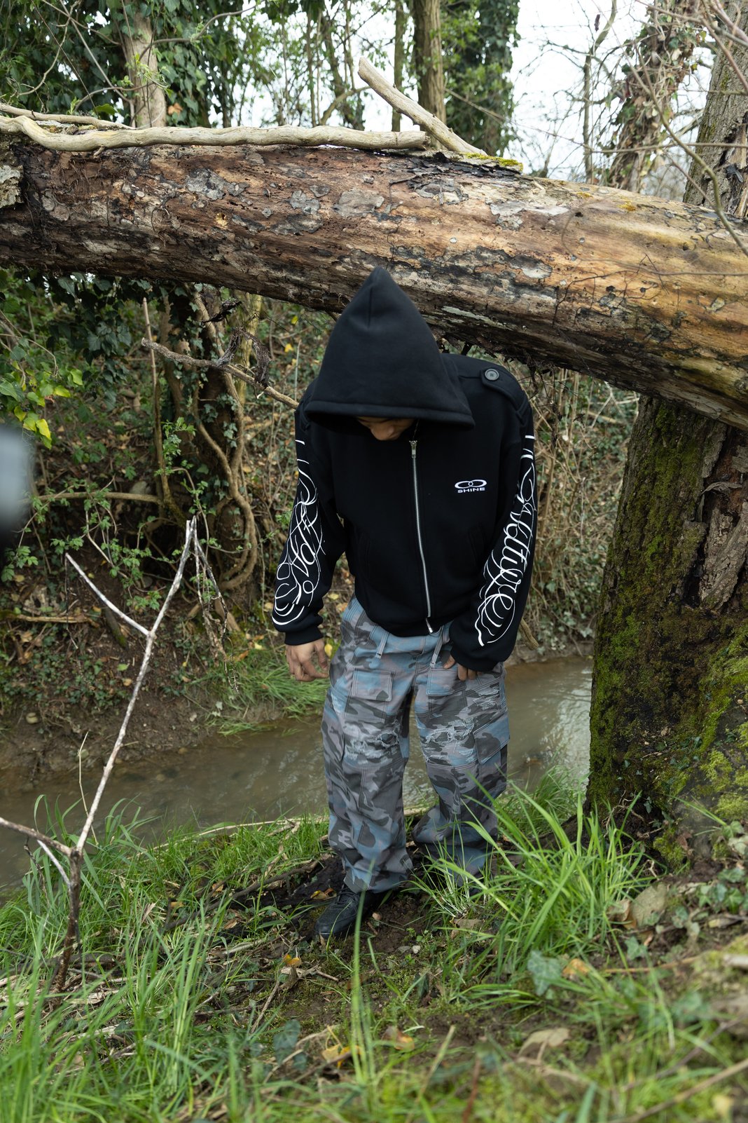 Slideshow image 3