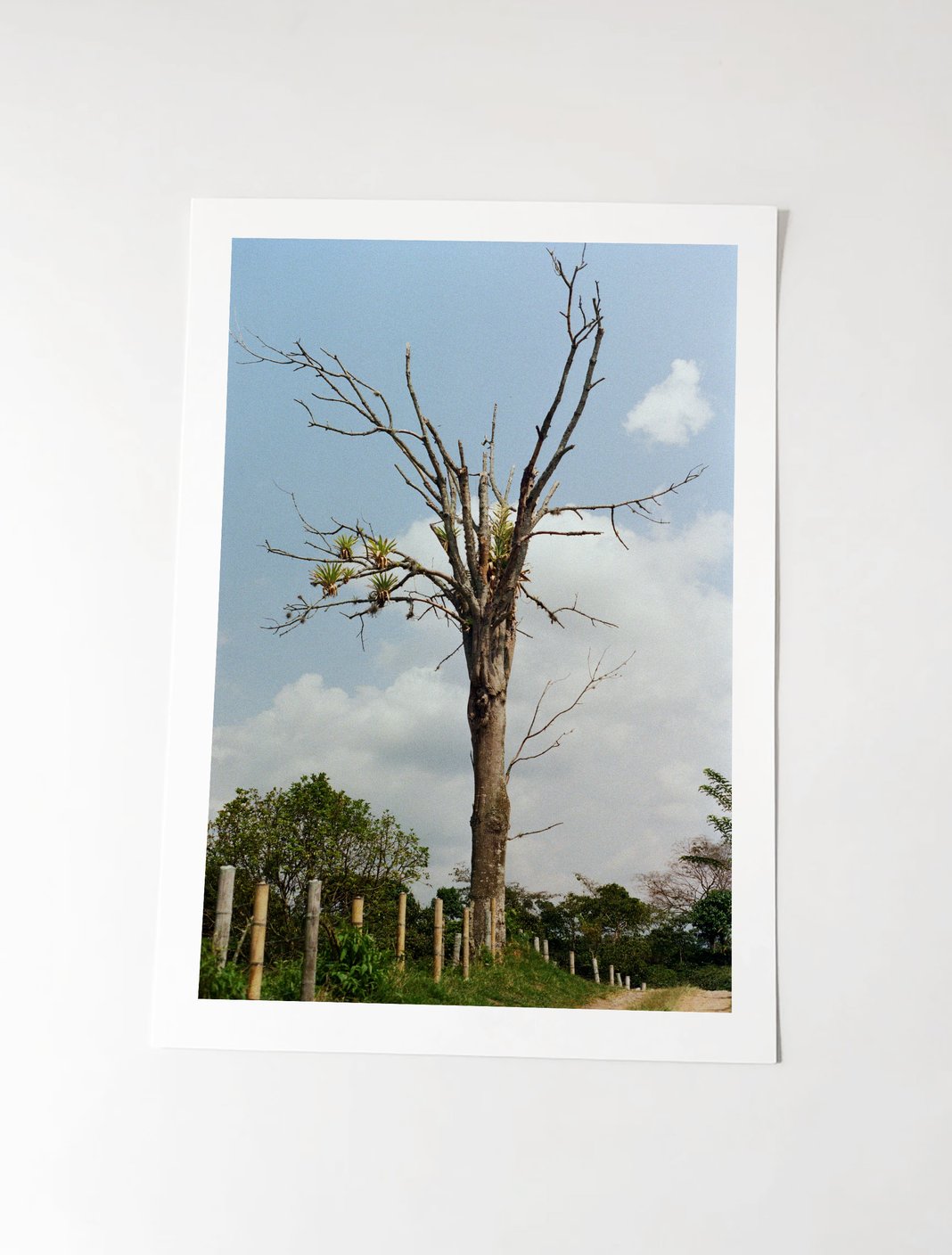 Slideshow image 3