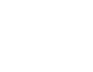 dirtdawgsshop2026 Home