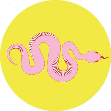 Pink Snake Studios Home