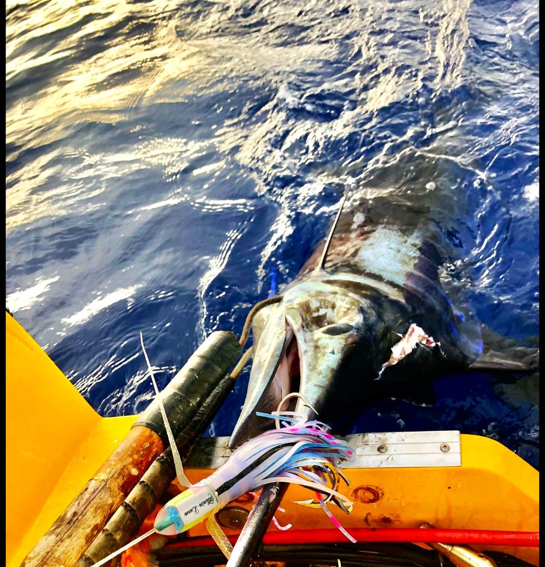 Slideshow image 6