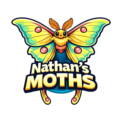 NATHAN’S MOTHS Home