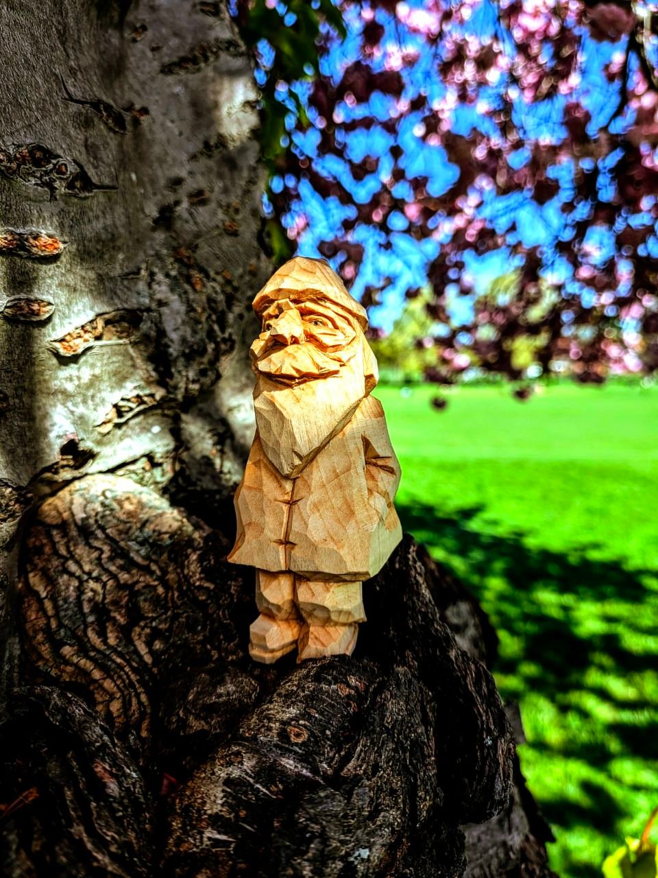 Slideshow image 12