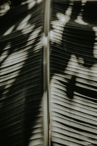 Slideshow image 1
