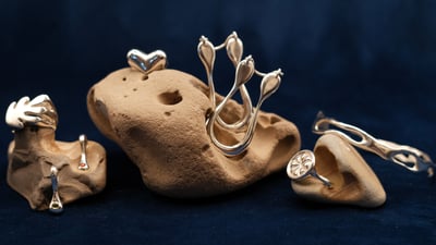 Slideshow image 4
