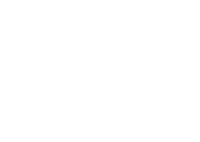 Nueve Mundo Home
